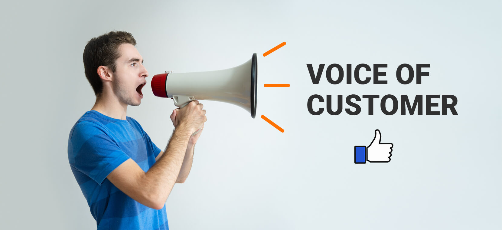 What is voice of customer?