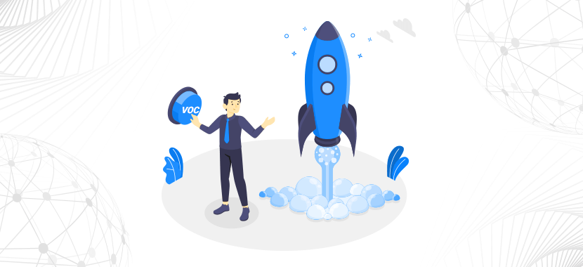 Chapter 2: Are you prepared to launch your VOC Program?