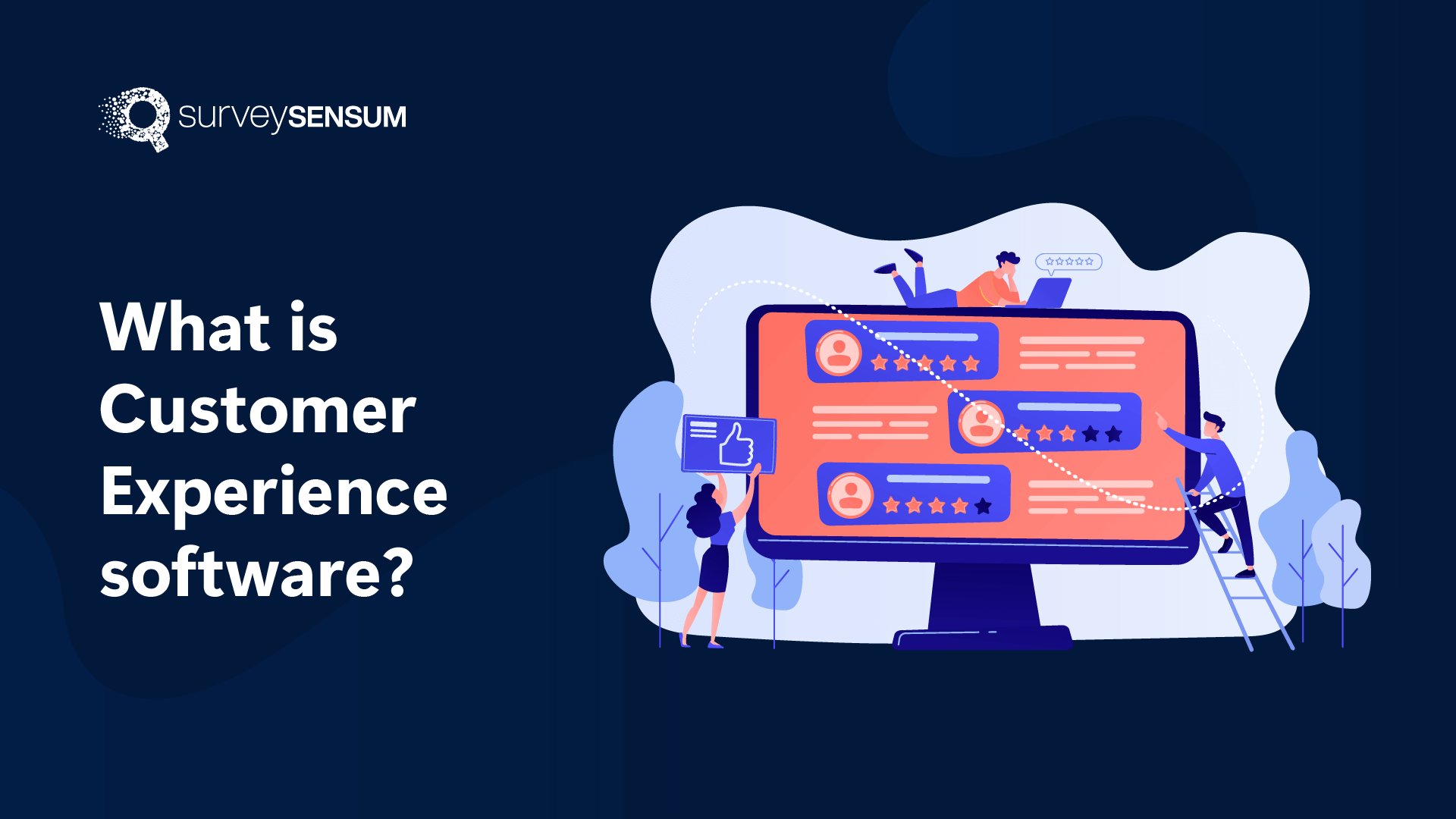 What is Customer Experience Software?